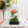 Cúpula de Vidro com Flor Eterna Transfronteiriça Rosa Luz Led 520 Presente de Dia dos Namorados para Namorada Luz Noturna Atmosférica Decorativa