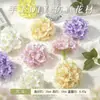 Cabezas de Flores de Mariposa Artificiales, Cabezas de Flores Falsas de Tela de Seda, Fondo de Pared de Flores para Bodas, Accesorios Hechos a Mano para DIY, Venta al por Mayor de Fábrica en Stock