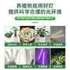 Luz de Crecimiento para Plantas Tira de Luces LED para Plantas Lámpara de Iluminación para Crecimiento de Plantas de Interior Soporte para Flores Luz de Crecimiento para Plántulas de Verduras