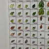 Hojas de Caladio Simuladas con Adhesivo Trasero, 10 cm, Accesorios para Colgar en la Pared DIY, Plantas Verdes Artificiales, Hojas de Potos, Hojas Verdes