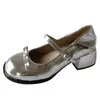 Sapatos Mary Jane Franceses Prata com Salto Grosso 2025 Novo Estilo de Verão Sapatos de Boca Rasa para Combinar com Saias Estilo Fada Bico Redondo Sapatos de Couro