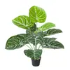 Simulación verde bonsái plantas pastoriles estilo nórdico plantas verdes jardín de ventana paisaje decoración del hogar atuendo suave
