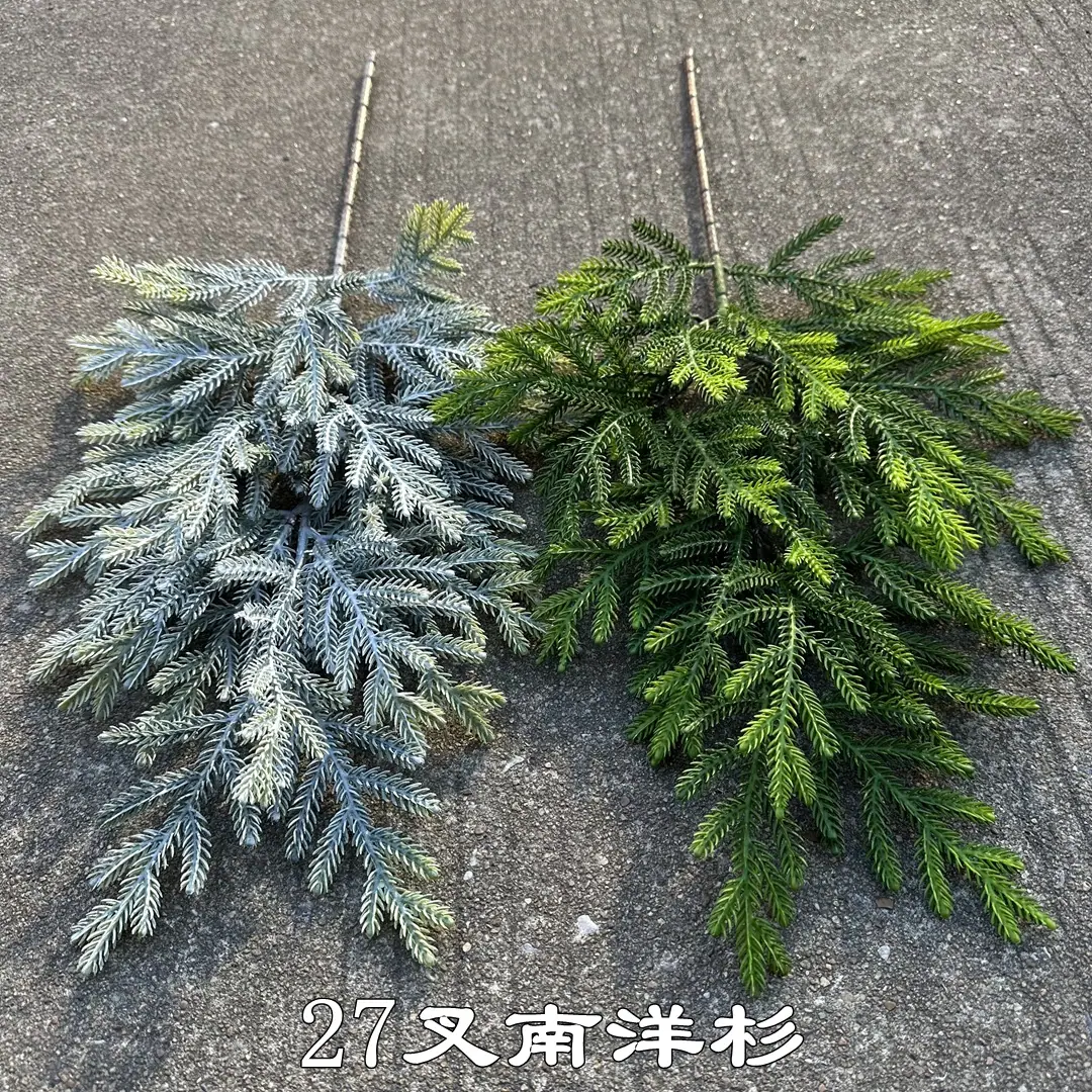 微信图片_20251116165106_2464_275