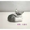 Raposa Simulada Raposa Dormindo Raposa Dourada Raposa Branca Raposa Marrom Vitrine Pele de Cabra Raposa