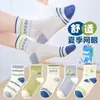 Calcetines para Niños, Estilo de Malla Fina de Verano, Versión Coreana, Lindos Calcetines de Perro de Moda, Versátiles Calcetines de Algodón Puro de Caña Media para Verano, Unisex