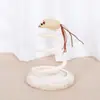 Juguetes para Gatos, Palo de Juguete para Gatos, Ratón de Peluche con Resorte y Arpillera, Rascador para Gatos, Suministros para Jugar con Gatos, Gadget de Entretenimiento Personal para Aliviar el Aburrimiento de Gatitos