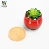 Maceta Suculenta Interior Escritorio Balcón Decoración Exportación Transfronteriza Jardinería Cerámica Mayoreo Regalos Navideños