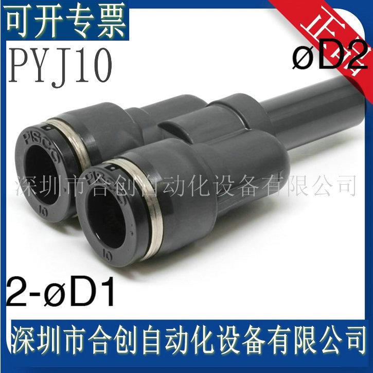 PYJ10