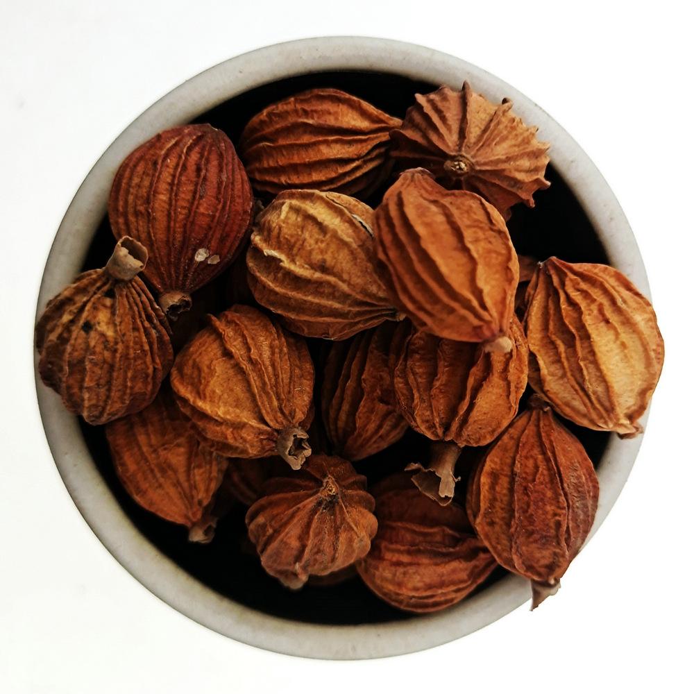 香砂仁 (22)_1.jpg