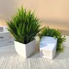 Maceta Cuadrada Transfronteriza Planta Verde Artificial Bonsái Plástico Planta Artificial Planta en Maceta Decorativa Decoración de Escritorio Sala de Estar Estudio