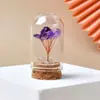 Suministro Listo de Árbol de Dinero de Cristal, Flor Inmortal, Árbol de Dinero, Amatista, Citrino, Adornos Creativos de Escritorio