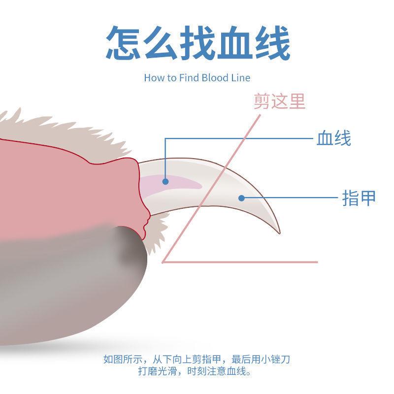 19ee9412-e795-4526-a898-4aacf5