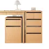 Gabinete de Almacenamiento Debajo del Escritorio Tipo Cajón Gabinete de Archivos Oficina Gabinete de Almacenamiento de Archivos A4 Hogar Mesa Lateral Gabinete de Almacenamiento de Doble Compartimento