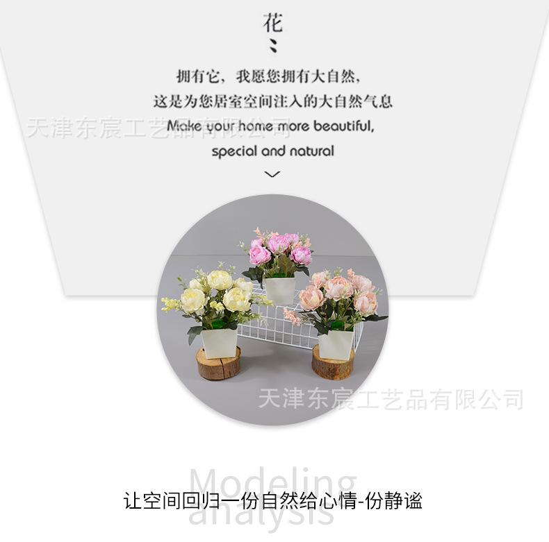 详情_10.jpg
