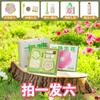 Vela Aromática Happy Blooming Caja de Regalo de Plantación Creativa Nicho Recuerdo de Cumpleaños Regalo Fragancia para el Hogar Decoración de Ambiente