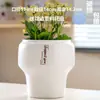 Maceta de Cerámica con Plato para Uso en el Hogar, Exquisita Estilo Ins Blanco Lujo Ligero Minimalista Estilo Crema Maceta para Orquídeas Suculentas