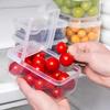 Caixa de frutas Lancheira portátil infantil para estudantes com lancheira fresca para geladeira Armazenamento de qualidade alimentar Caixa