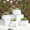 Nuevo Exportación Dibujos Animados Versión Q Nube Resina Contenedor Suculenta Maceta Blanca Nube Maceta Jardín Patio Balcón Maceta Flor
