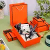 Caja de Regalo Creativa de Moda Caja de Regalo Estilo Ins Caja de Embalaje para Regalo Caja Vacía de Alta Gama Europea y Americana Bolsa de Regalo para Souvenir