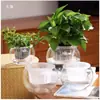 Cesta de Plantio Hidropônico, Cesta de Fixação de Plantas para Cultivo em Solo, Cesta de Flores para Vaso de Vidro, Recipiente Hidropônico, Dispositivo de Fixação para Raiz de Rabanete Verde e Bambu da Sorte