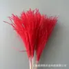 Flores Secas, Tubos Populares para Fuegos Artificiales, Plumero Suave, Materiales para Ramo de Flores Secas del Día de San Valentín, Más Vendidos Populares en Amazon Transfronterizo