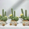Macetas de Flores Hechas a Mano de Amazon Transfronterizas, Plantas Suculentas en Maceta, Adornos Tejidos para Consola Central de Coche, Adornos de Decoración de Escritorio, Productos Terminados
