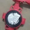 Fábrica de Válvulas Fenyun de Huangyan Válvula de Disco Original para Camión Cisterna de Cemento Camión Cisterna de Cemento a Granel Válvula de Descarga para Barco Cisterna de Cemento