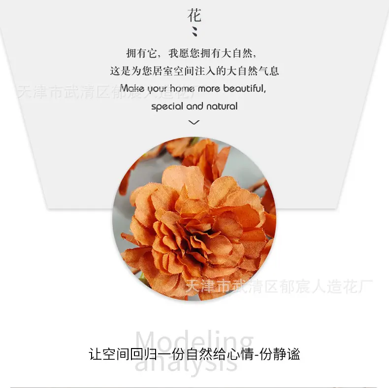 详情_06.jpg