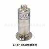 Manómetro de ionización de cátodo frío de vacío medio tipo Pan Ning de Chengdu ZJ-14C tipo manómetro frío se hizo realidad ZJ-14C tipo manómetro frío