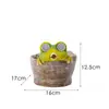Lámpara Solar de Primavera Personalizada para Venta Transfronteriza Maceta Rana Maceta Suculenta Maceta Flor Resina Adorno Decoración Jardín Patio