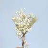 Ramo Mini de Flores Secas Transfronterizo de 12 cm, Flores Reales, Rosas, Gypsophila, Regalo, Ramillete, Decoración de Coche, Decoración Hecha a Mano