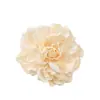 Accesorios de flor de peonía de simulación pared de flores de boda arreglo floral decoración accesorios de fotografía cabeza de flor de peonía linterna flor de linterna