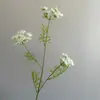 Flor de Renda de 5 Pétalas Flor Artificial Flor Falsa Enfeites de Decoração para Casa Acessórios para Arranjo Floral Decoração de Sala de Estar Adereços para Fotografia
