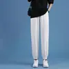 Pantalones Harem de Seda Helada Finos de Verano para Mujer, Color Gris, Corte Holgado, Adelgazantes, Versátiles, Deportivos Casuales