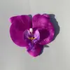 Película Simulada Impresa en 3D Cabeza de Flor Phalaenopsis Amazon PU Impermeable Decoración de Cabeza de Flor Phalaenopsis Phalaenopsis En Stock