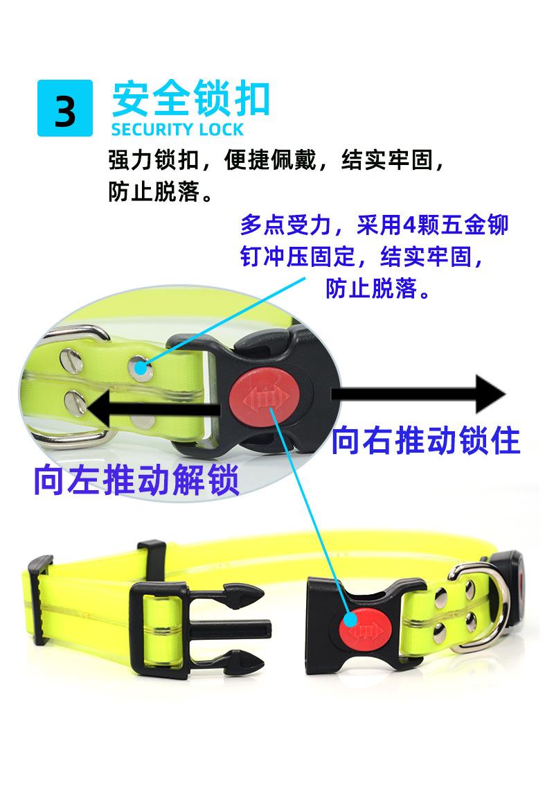 发光项圈宠物