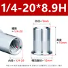 Tuerca Remache de Cabeza Plana de Zinc Azul y Blanco Patrón Vertical M3-M12 Pulgada Pasante Moleteada Tuerca Remache Antiaflojamiento 5/32-32*6H