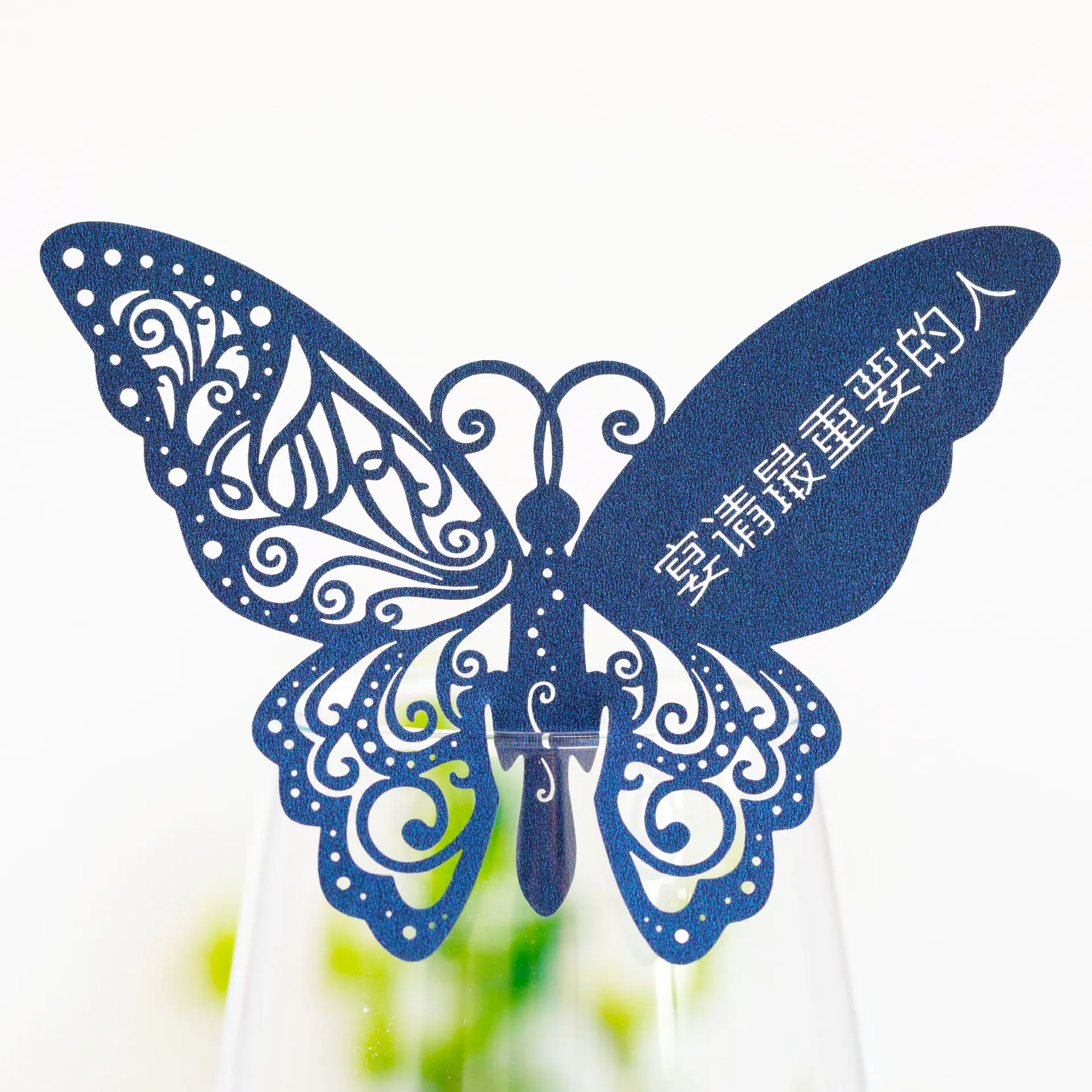 9R3A2902 幻兰