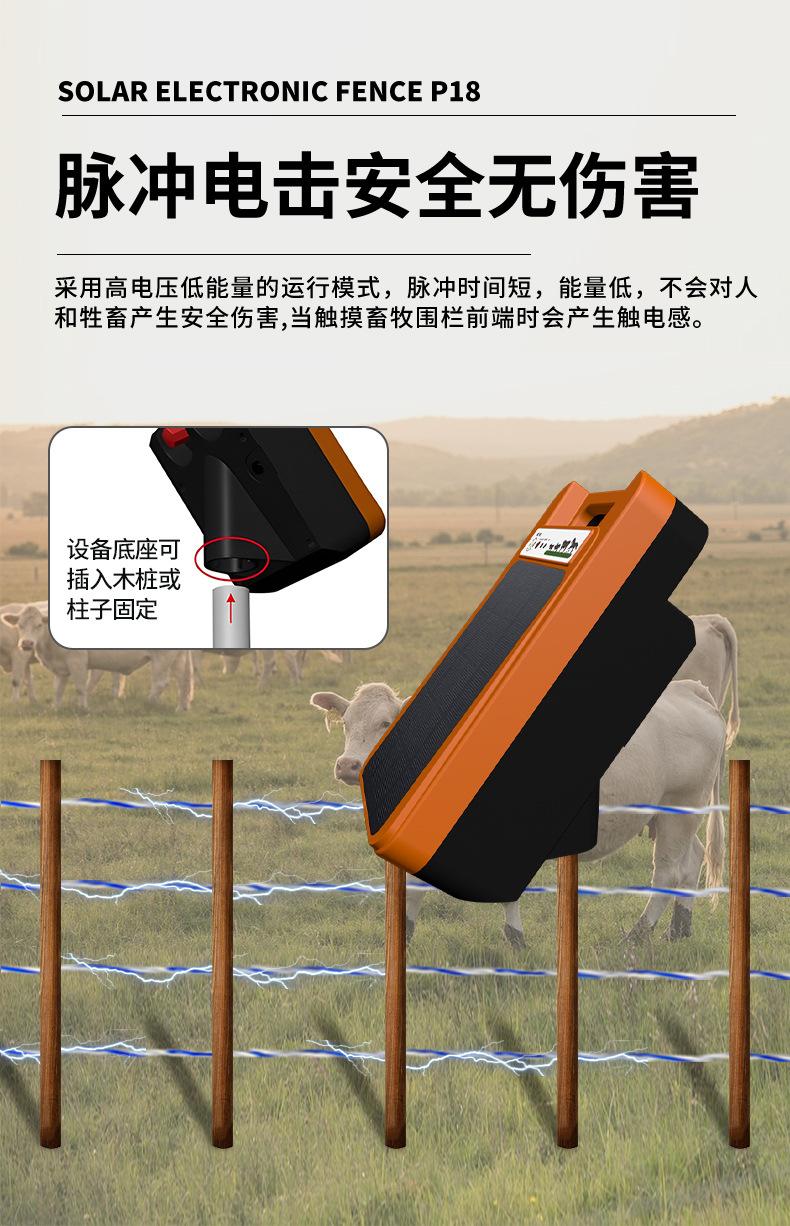 详情页_05.jpg