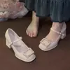 Tacones Altos de Tacón Grueso Estilo Francés para Mujer Nuevo Estilo Chino con Faldas Zapatos Mary Jane Zapatos de Boda 2026 Nuevos Tacones Altos de Correa Única
