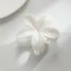 Pinza para el pelo de Mármol Difuminado Degradado Transfronterizo con Flor Plumeria, Pinza para el Pelo de Flor Fresca y Elegante en la Parte Trasera de la Cabeza, Pinza de Tiburón
