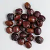 Materiales para Cascabeles de Cáscara de Fruta, Carrillones de Viento de Cáscara de Fruta, Colgantes para Terapia de Sonido de Cáscara de Huevo de Flor de Durazno de Bambú DIY, Sonajeros de Cáscara de Fruta al por Mayor