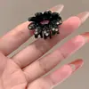 Pinza para el Cabello Exquisita de Gama Alta Estilo Coreano para Mujer Pinza de Garra Pequeña de Princesa Pinza Versátil para Flequillo Lateral Pinza Lateral Elegante