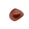 Chapéu, Óculos de Sol, Cachecol, Fones de Ouvido, Presentes de Loja de Chá com Leite, Pato Famoso na Internet, Chapéu de Jazz, Chapéu de Cowboy, Transfronteiriço, Mesmo Estilo que os Vizinhos