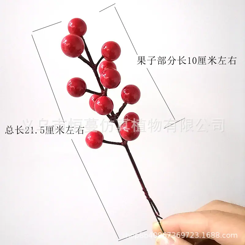 微信图片_20211215144118_副本_副本