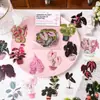 Ins Retro Planta Flor Manualidad Pegatina Impermeable Pequeña Fresca Flor Collage Manualidad DIY Tarjeta Goo Pegatina Decorativa