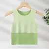 Chaleco Térmico Popular de Terciopelo Alemán Transfronterizo Otoño e Invierno Sin Costuras Ajustado para Niños Versátil Chaleco Base Ropa Interior para Bebés Hombres y Mujeres