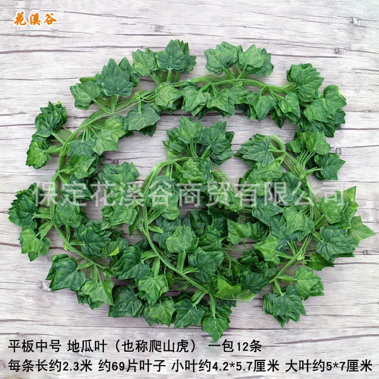 平板中号爬山虎.jpg