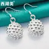 Aretes Redondos de Flor de Diente de León, Aretes de Plata, Aretes para Mujer, Joyería, Joyería Belleza del Lago Oeste
