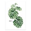 Pintura Decorativa Moderna Plantas Nórdicas Estilo Fresco Sala de Estar Pintura Colgante Lienzo Simple Nórdico Póster Núcleo de Pintura sin Marco Venta al por Mayor